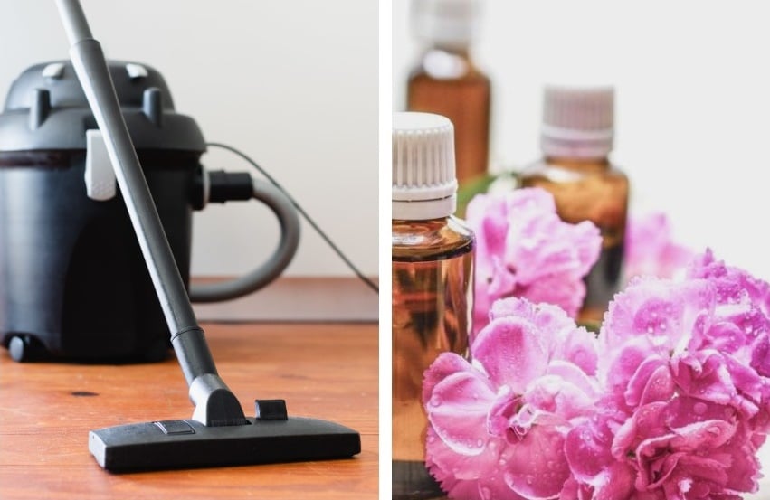How to Make Vacuum Smell Better? Tips and Tricks from Professionals!