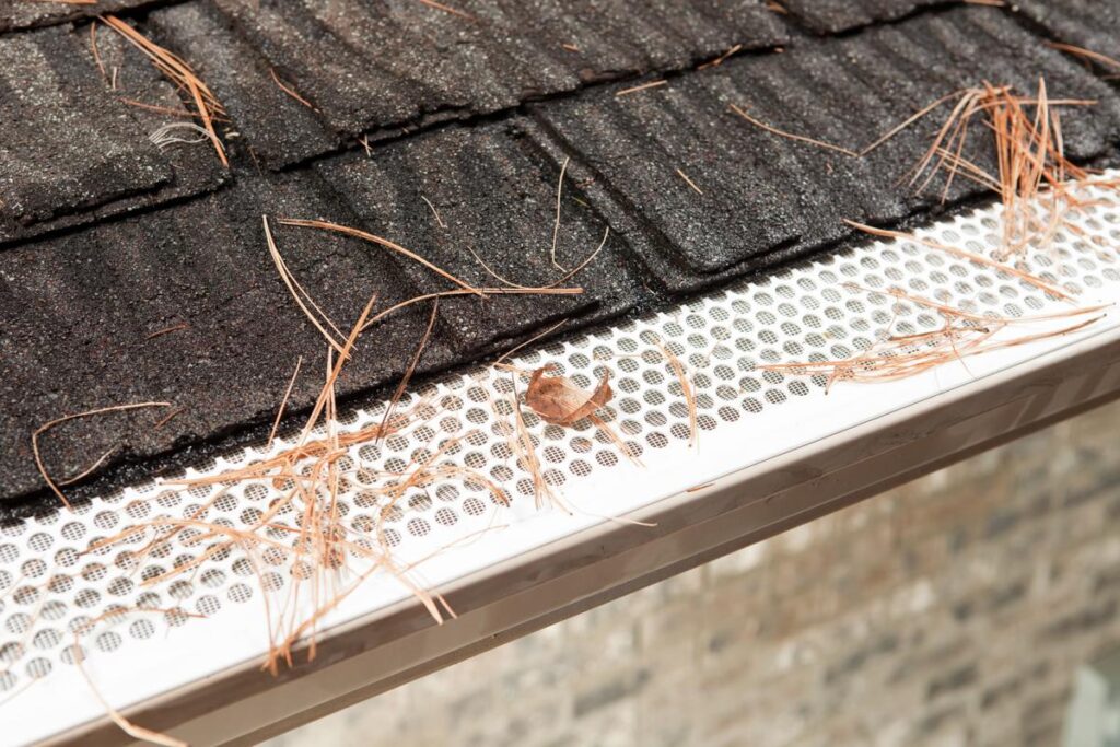 5 Best Gutter Guards for Pine Needles – New Solution for an Old Problem